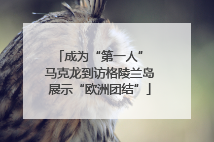 成为“第一人” 马克龙到访格陵兰岛展示“欧洲团结”