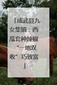 成武县九女集镇：西瓜套种辣椒 “一地双收”巧致富