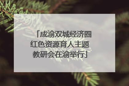 成渝双城经济圈红色资源育人主题教研会在渝举行