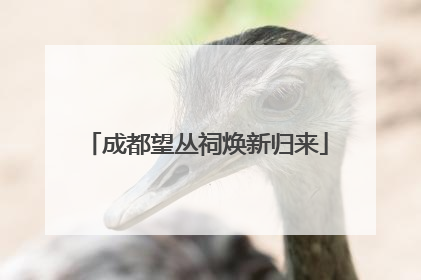 成都望丛祠焕新归来