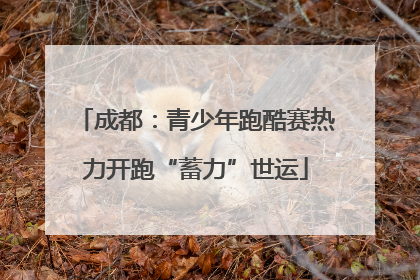 成都：青少年跑酷赛热力开跑“蓄力”世运