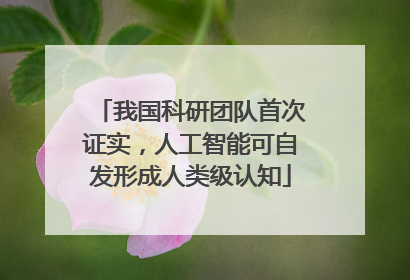 我国科研团队首次证实，人工智能可自发形成人类级认知