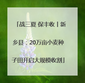 战三夏 保丰收丨新乡县：20万亩小麦种子田开启大规模收割