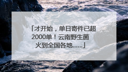 才开始，单日寄件已超2000单！云南野生菌火到全国各地……