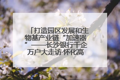 打造园区发展和生物基产业链“加速器”——长沙银行千企万户大走访·怀化高新区、生物基产业链专场活动举行