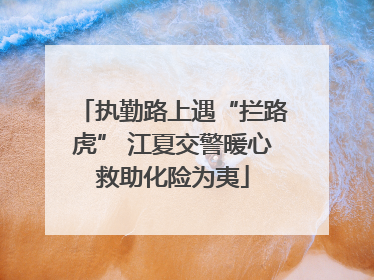 执勤路上遇“拦路虎” 江夏交警暖心救助化险为夷