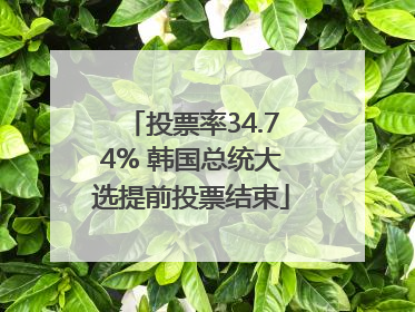 投票率34.74% 韩国总统大选提前投票结束
