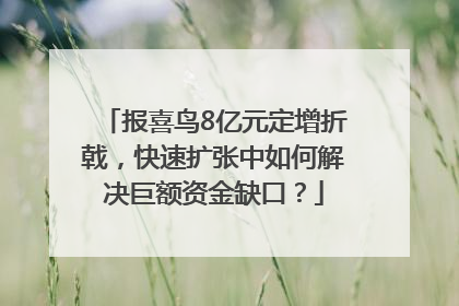 报喜鸟8亿元定增折戟，快速扩张中如何解决巨额资金缺口？