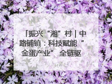 振兴“湘”村｜中路铺镇：科技赋能“金蛋产业” 全链驱动乡村振兴