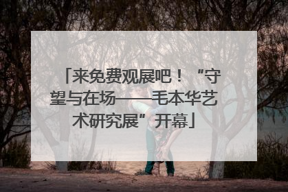 来免费观展吧！“守望与在场——毛本华艺术研究展”开幕