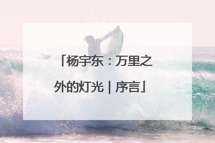 杨宇东：万里之外的灯光｜序言