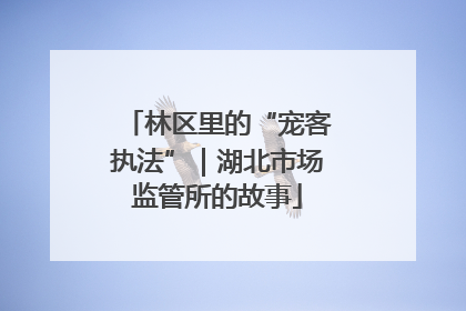 林区里的“宠客执法”｜湖北市场监管所的故事