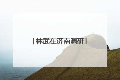 林武在济南调研