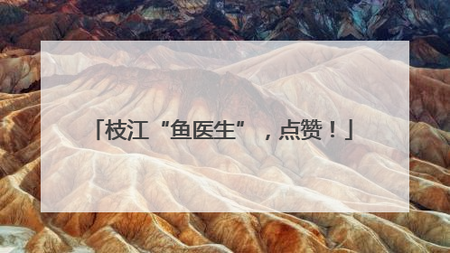 枝江“鱼医生”，点赞！