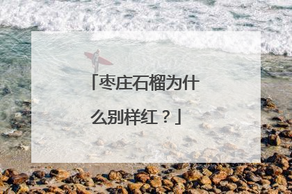 枣庄石榴为什么别样红？