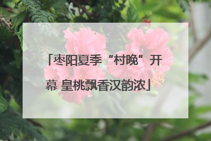 枣阳夏季“村晚”开幕 皇桃飘香汉韵浓
