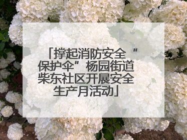 撑起消防安全“保护伞”杨园街道柴东社区开展安全生产月活动