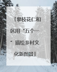 攀枝花仁和区用“五个一”描绘乡村文化新图景