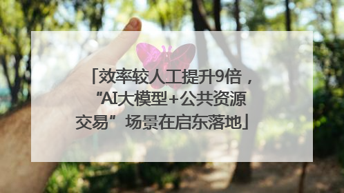 效率较人工提升9倍，“AI大模型+公共资源交易”场景在启东落地