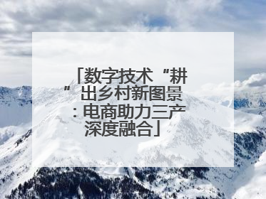 数字技术“耕”出乡村新图景：电商助力三产深度融合