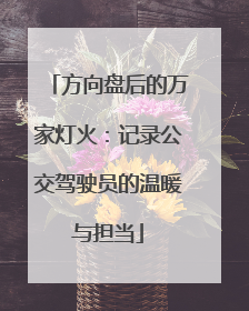方向盘后的万家灯火：记录公交驾驶员的温暖与担当