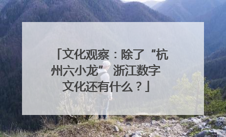 文化观察：除了“杭州六小龙” 浙江数字文化还有什么？