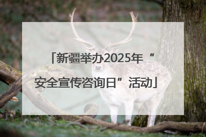 新疆举办2025年“安全宣传咨询日”活动