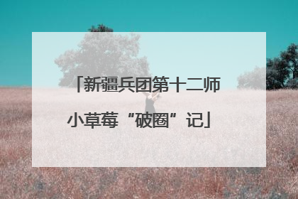 新疆兵团第十二师小草莓“破圈”记