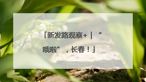 新发路观察+｜“哦啦”，长春！
