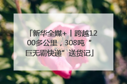 新华全媒+丨跨越1200多公里，308吨“巨无霸快递”送货记