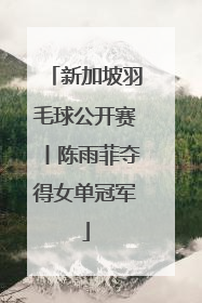 新加坡羽毛球公开赛丨陈雨菲夺得女单冠军