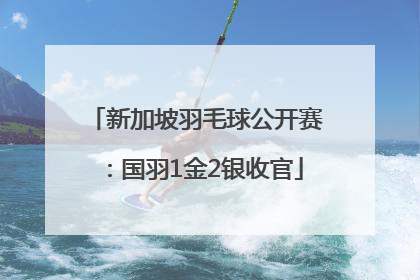 新加坡羽毛球公开赛：国羽1金2银收官