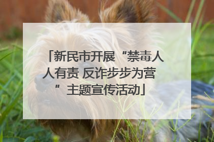 新民市开展“禁毒人人有责 反诈步步为营”主题宣传活动