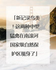 新记录鸟类！这两种中型猛禽在南滚河国家级自然保护区现身了