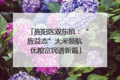 旌阳区双东镇：“旌益态”大米领航 优粮富民谱新篇