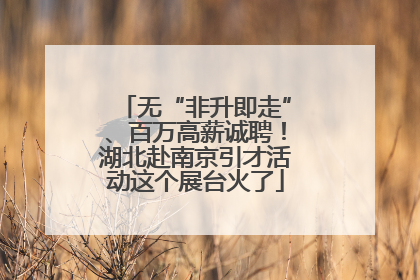 无“非升即走”、百万高薪诚聘！湖北赴南京引才活动这个展台火了