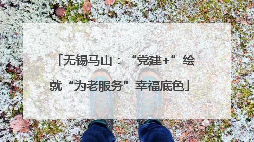 无锡马山：“党建+”绘就“为老服务”幸福底色