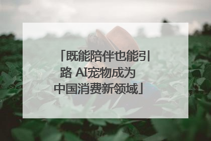 既能陪伴也能引路 AI宠物成为中国消费新领域