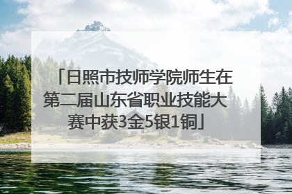 日照市技师学院师生在第二届山东省职业技能大赛中获3金5银1铜