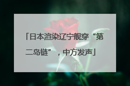 日本渲染辽宁舰穿“第二岛链”，中方发声
