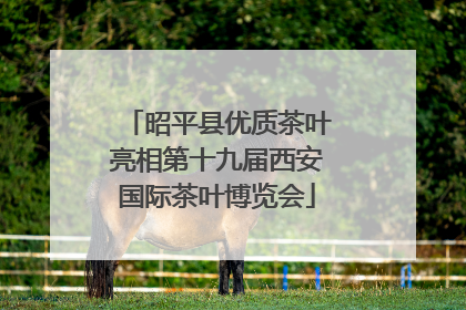 昭平县优质茶叶亮相第十九届西安国际茶叶博览会