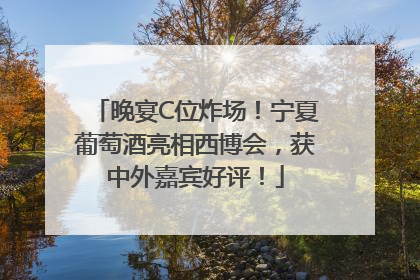 晚宴C位炸场！宁夏葡萄酒亮相西博会，获中外嘉宾好评！