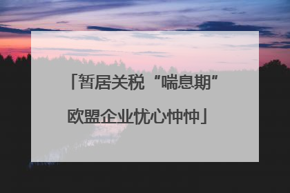 暂居关税“喘息期” 欧盟企业忧心忡忡