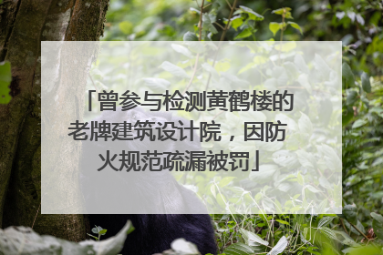 曾参与检测黄鹤楼的老牌建筑设计院，因防火规范疏漏被罚