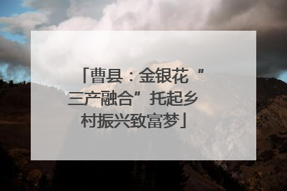 曹县：金银花“三产融合”托起乡村振兴致富梦