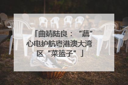 曲靖陆良：“蔬”心电护航粤港澳大湾区“菜篮子”