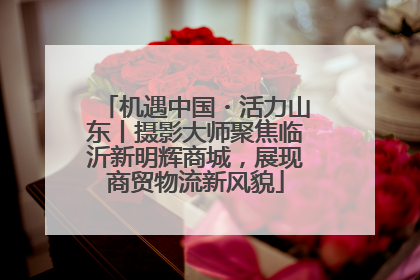 机遇中国・活力山东丨摄影大师聚焦临沂新明辉商城，展现商贸物流新风貌