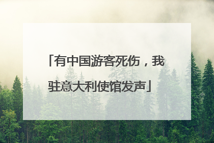 有中国游客死伤，我驻意大利使馆发声