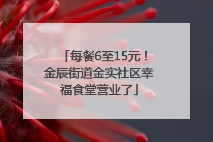 每餐6至15元！金辰街道金实社区幸福食堂营业了