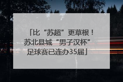 比“苏超”更草根！苏北县城“男子汉杯”足球赛已连办35届